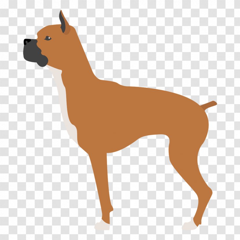 Dog Breed Boxer Puppy Companion English Mastiff - Pet Transparent PNG