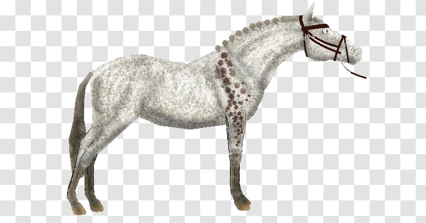 Mane Mustang Stallion Rein Pony - Mare Transparent PNG