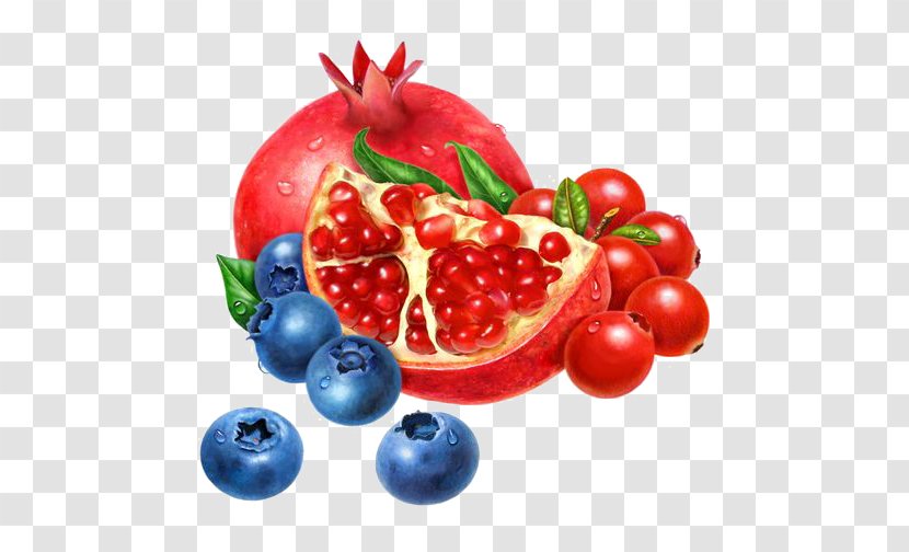 Cranberry Blueberry Lingonberry Auglis - Red Pomegranate Blue Transparent PNG