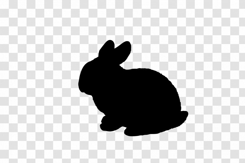 Domestic Rabbit Hare Easter Bunny Black & White - Tail - M Transparent PNG