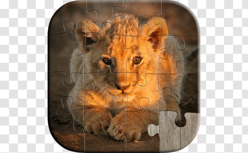 Lion Stock Photography Animal Babies Jigsaw Puzzles Game - Featurepics - Kids & AdultsLion Transparent PNG