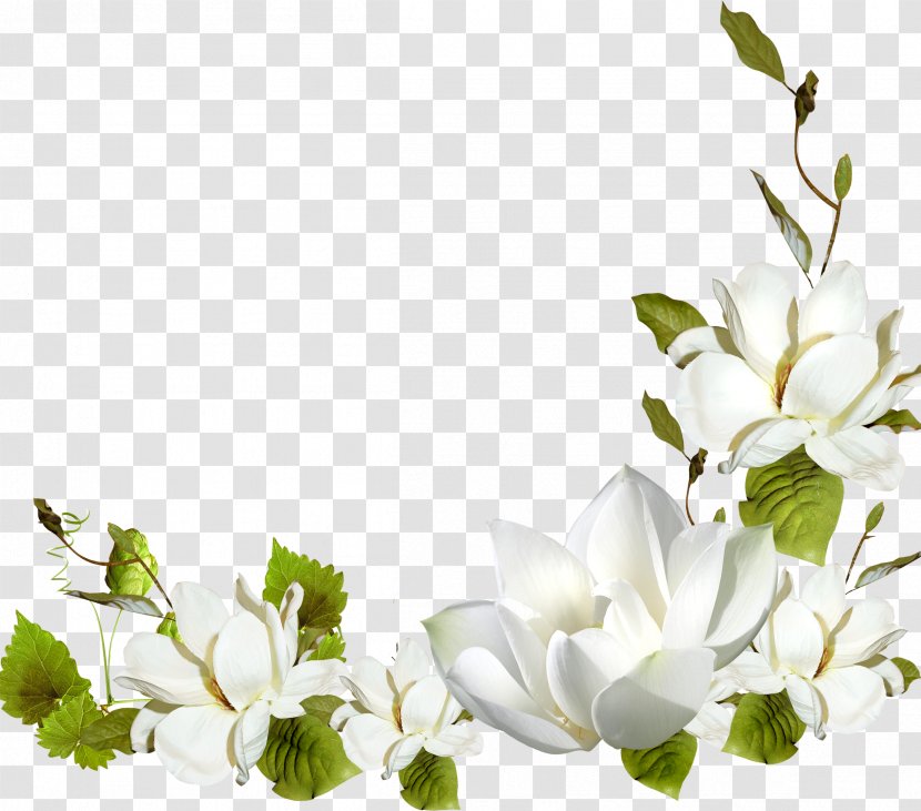 Flower Picture Frames Clip Art - Plant - White Transparent PNG