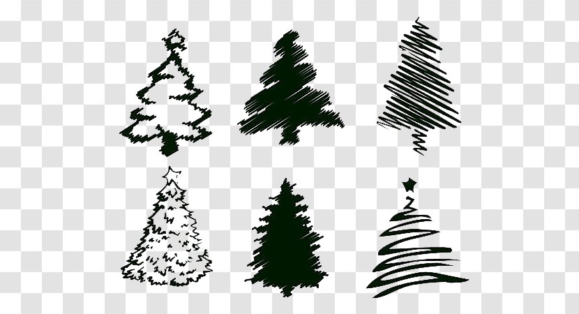 Christmas Tree Drawing Illustration - Pine - Creative Transparent PNG