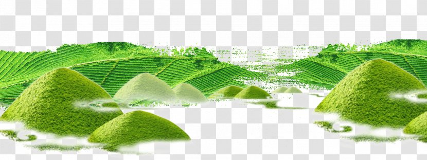 Green Tea Culture Garden - Chinese - Design To Avoid Transparent PNG
