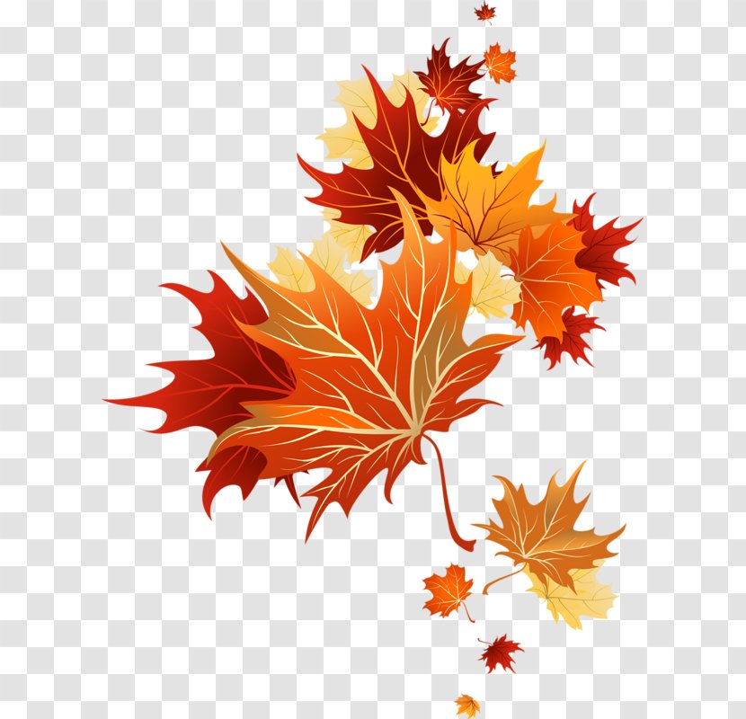 Autumn Clip Art - Maple Leaf Transparent PNG