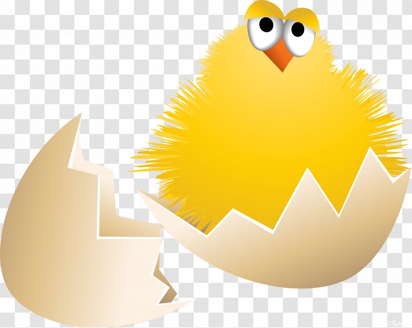 Chicken Drawing - Yellow - Easter Chick Transparent PNG