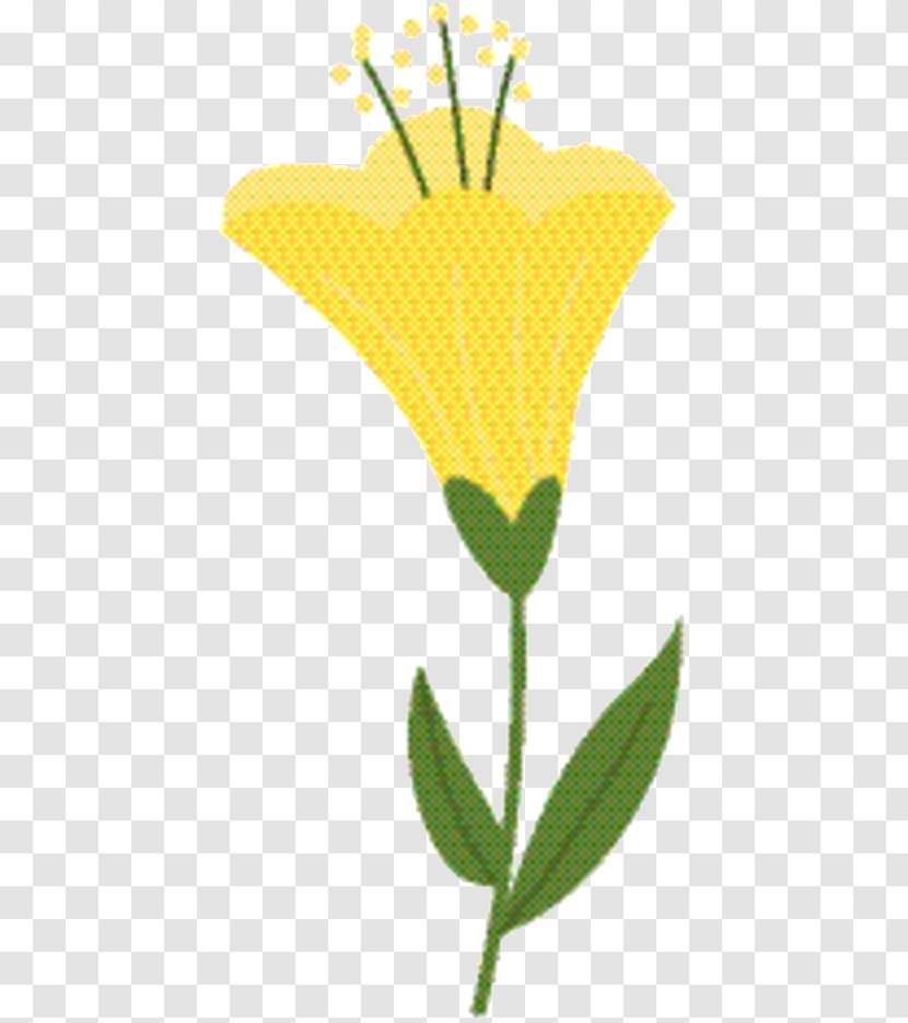 Yellow Flower - Botany Plant Transparent PNG