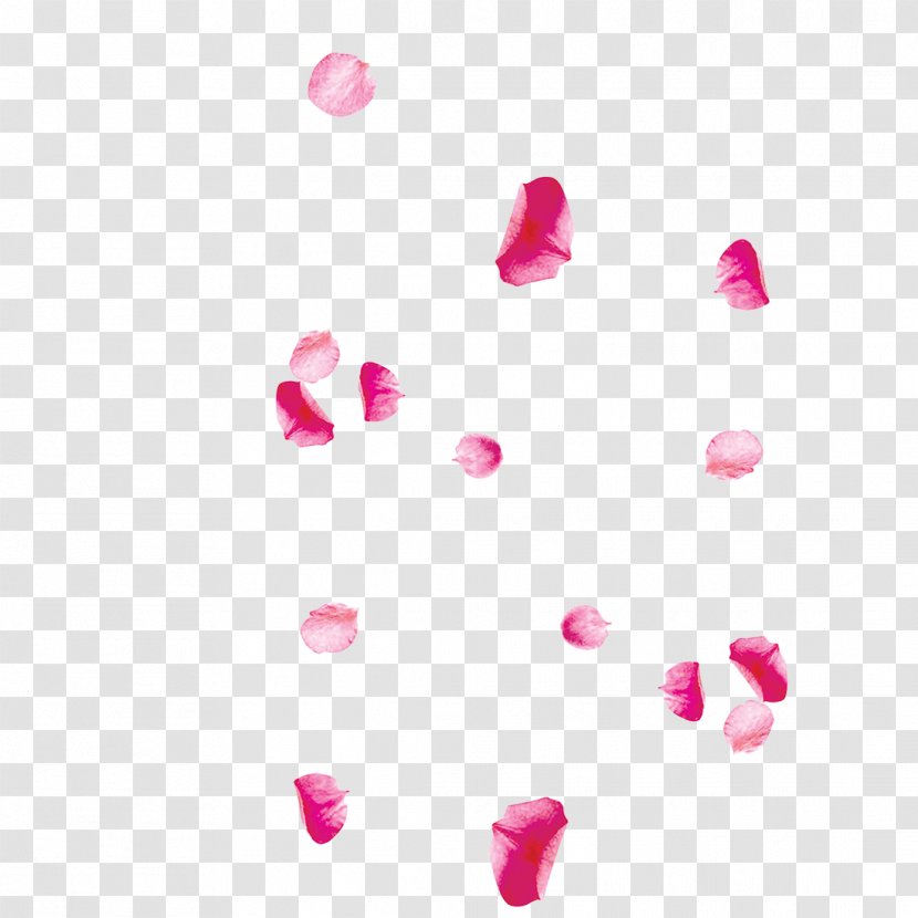 Petal Pink Image Design - Beach Rose - Flower Petals Transparent PNG