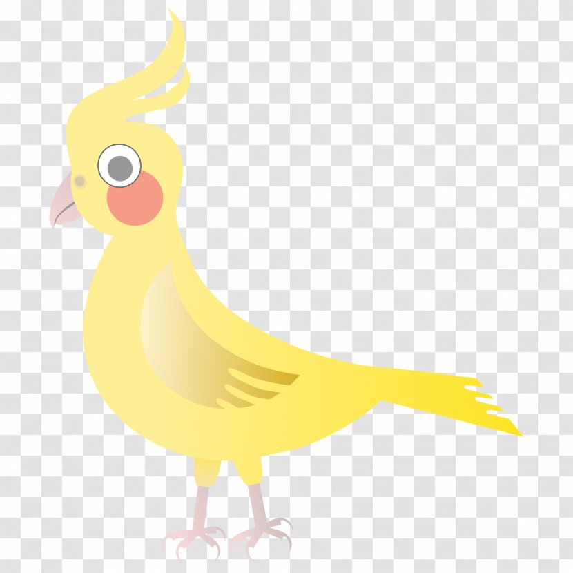 Duck Water Bird Chicken Galliformes - Livestock - Abstrac Transparent PNG