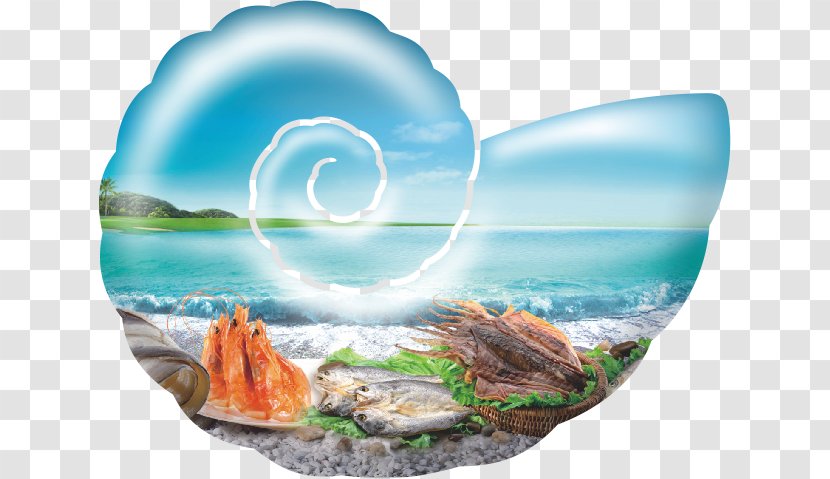 Seafood Poster - Advertising - Conch Transparent PNG