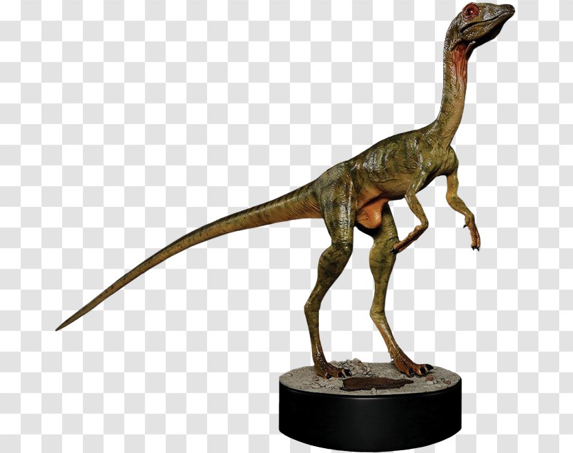 Tyrannosaurus Compsognathus Velociraptor Cathy Bowman Jurassic Park - Film Transparent PNG