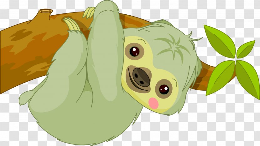 Baby Sloths Cartoon - Fictional Character - Twotoed Sloth Transparent PNG