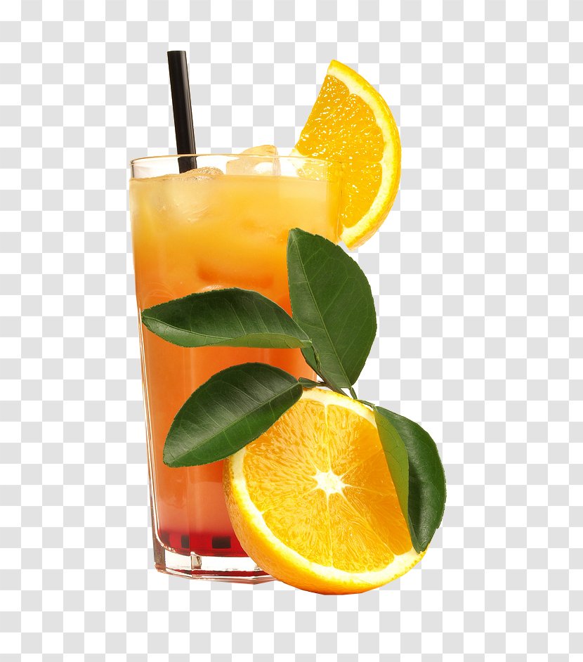 Tequila Sunrise Cocktail Soft Drink Juice Margarita - Garnish - Freshly Squeezed Orange Transparent PNG