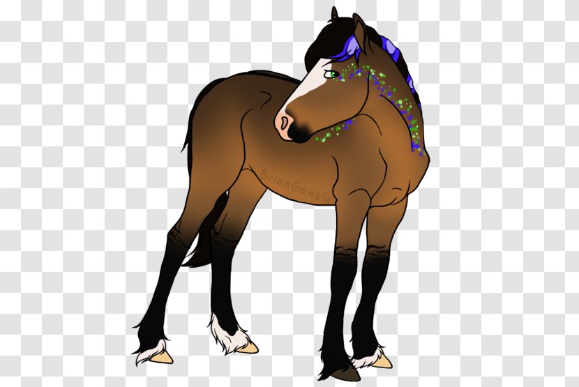 Mule Foal Stallion Colt Mare - Tail - Mustang Transparent PNG
