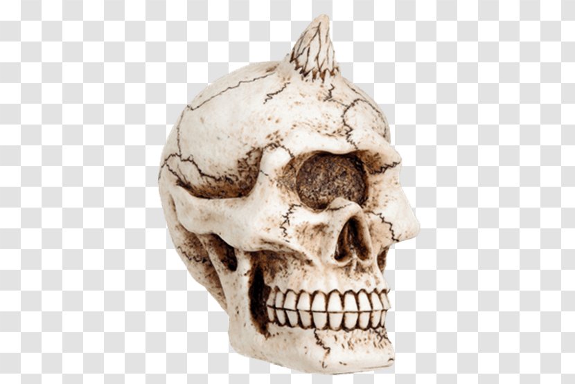 Skull Skeleton Bone Figurine Sculpture Transparent PNG