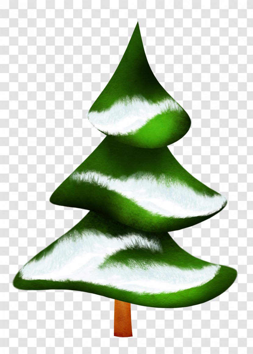 Fir Pine Green Christmas Tree - Needle Transparent PNG