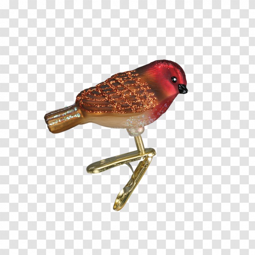 Christmas Ornament Finch Bird Decoration - Old World Factory Outlet Transparent PNG