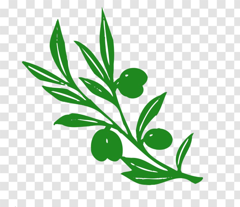 Olive Branch Tree Clip Art - Plant - Radish Clipart Transparent PNG