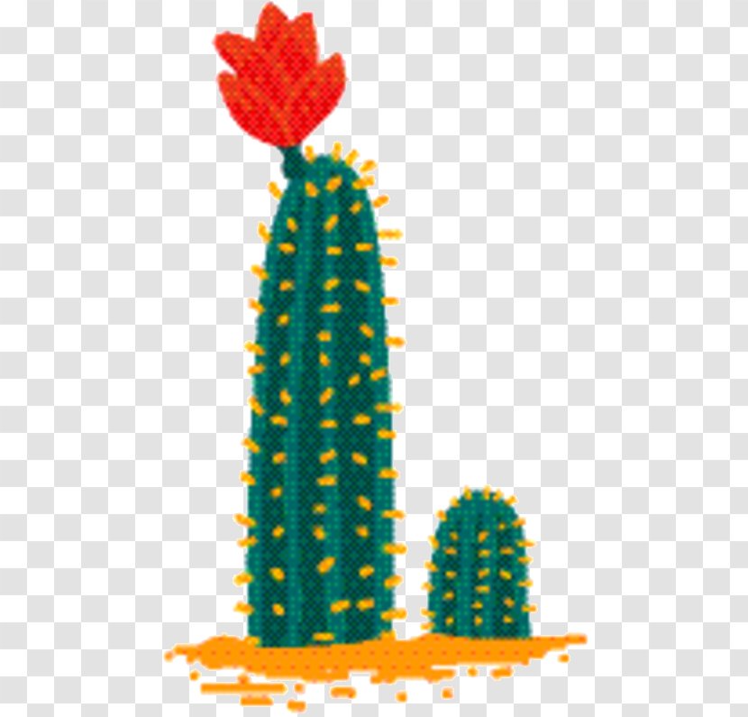 Cactus Cartoon - Plant - Succulent Caryophyllales Transparent PNG