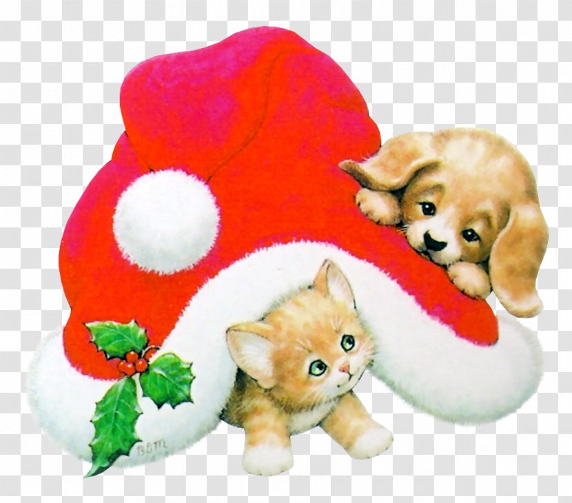Kitten Christmas Cat Dog - Organism Transparent PNG