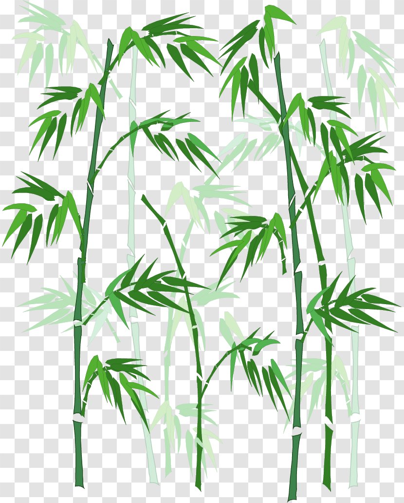 Bamboo - Coreldraw - Vector Hand-painted Transparent PNG
