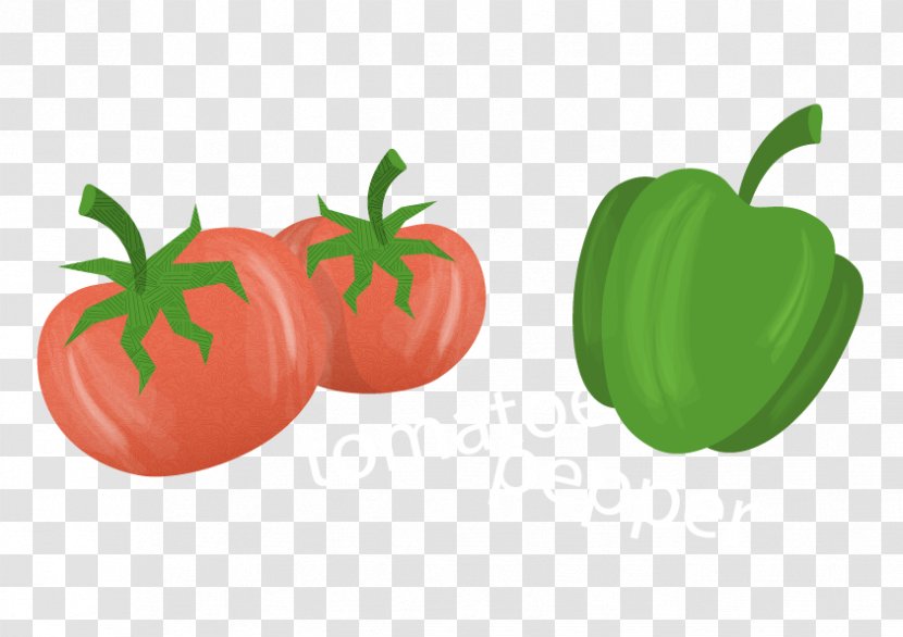 Tomato Bell Pepper Paprika - Nightshade Family - Capsicum Ingredients Vector Transparent PNG