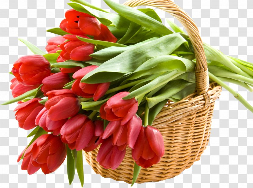 Flower Bouquet Desktop Wallpaper - Night - Tulip Transparent PNG
