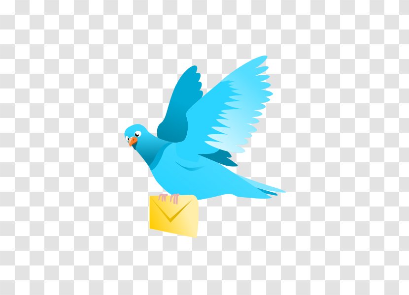 Domestic Pigeon Flight Bird Columbidae Clip Art - E-Mail Cliparts Transparent PNG