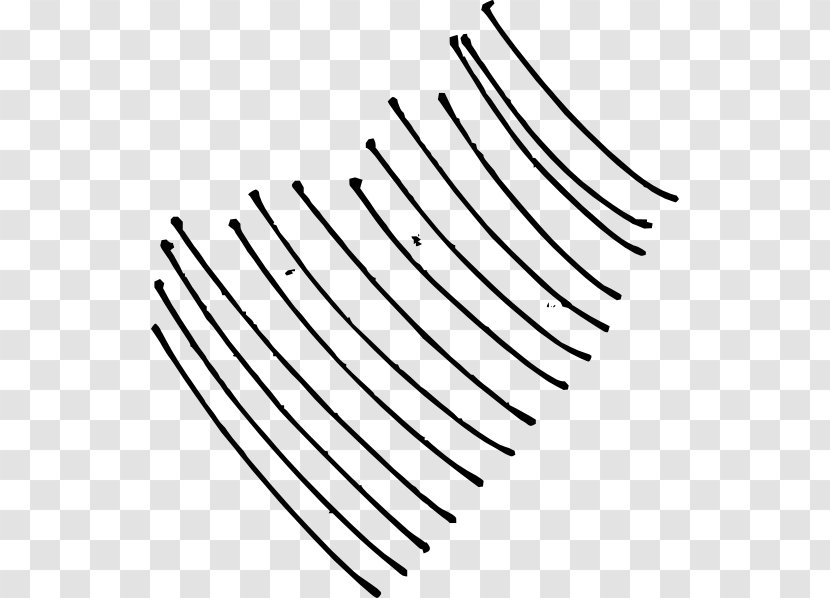 Curve Line Clip Art - Lines Transparent PNG