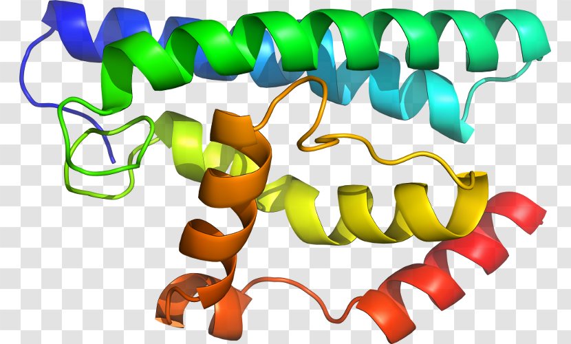 Organism Clip Art - Glutathione Stransferase Mu 1 Transparent PNG