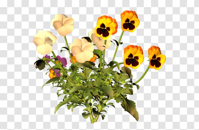 Wildflower Blume - Annual Plant - Flower Transparent PNG