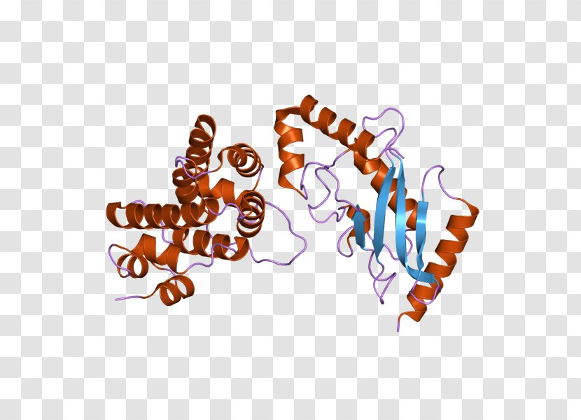 UBE2I RANGAP1 Ubiquitin-conjugating Enzyme Gene - Text - Homo Sapiens Transparent PNG