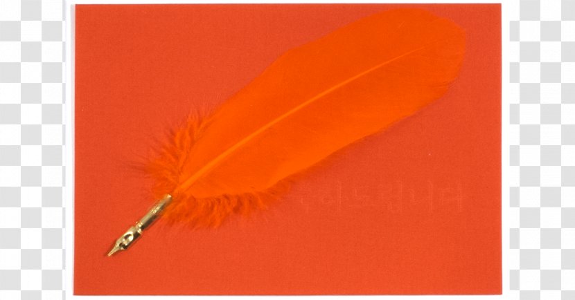 Feather - Quill - Cotton Paper Transparent PNG