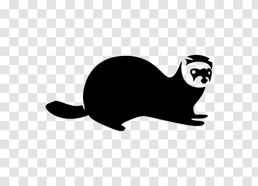 Black-footed Ferret Whiskers Cat - Blackfooted Transparent PNG