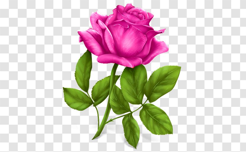 Rose Download Clip Art - Plant Stem - Women Day Flower Transparent PNG
