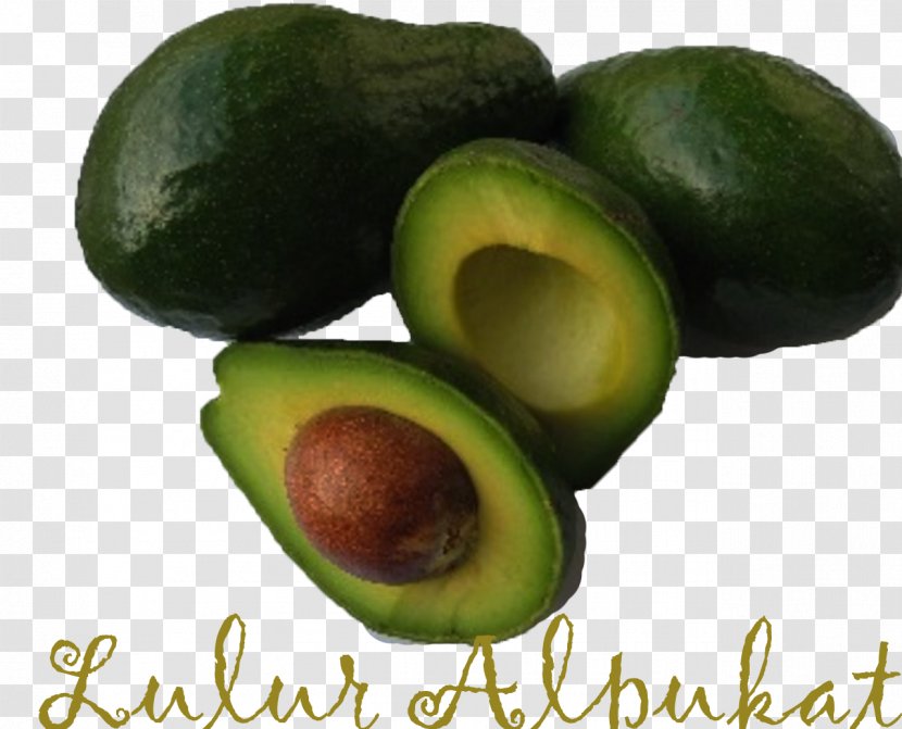 Avocado Food Ingredient Fat Transparent PNG