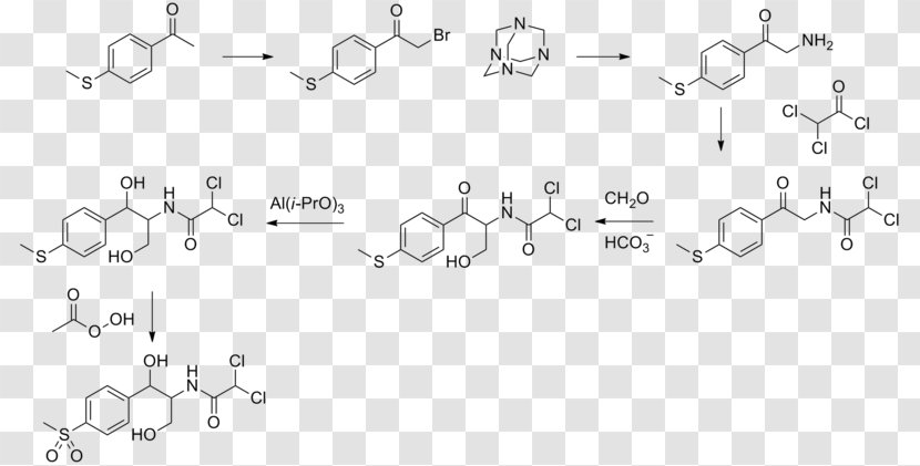 Adrenaline Dopamine Adrenal Gland Norepinephrine - Phenethylamine - Tyrosine Transparent PNG