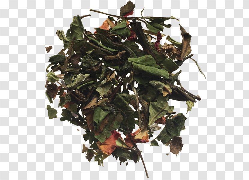 Tea Oolong Coffee Beer Brewing Grains & Malts Green - Chinese Herbaceous Peony Transparent PNG