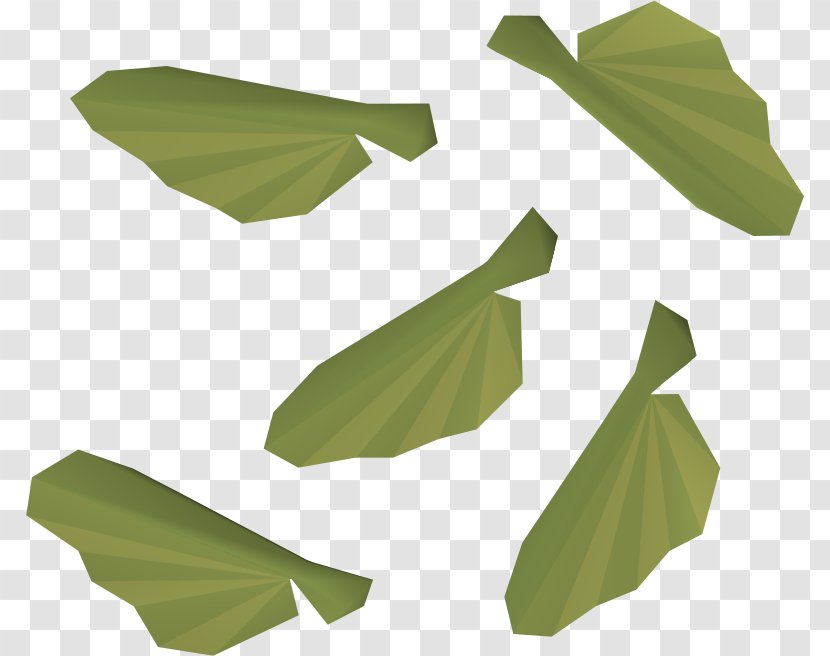 Old School RuneScape Sugar Maple Acer Ginnala Japanese - Runescape - Pictures Of Planting Seeds Transparent PNG