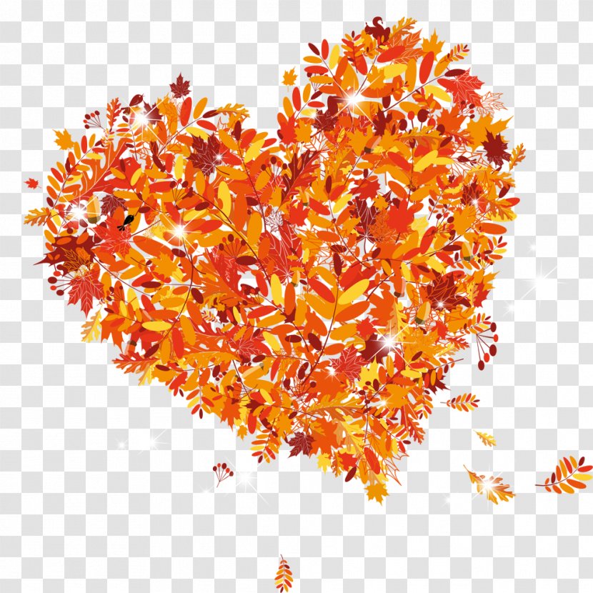 Autumn Leaf Color Yellow - Red - Leaves Heart-shaped Decoration Transparent PNG