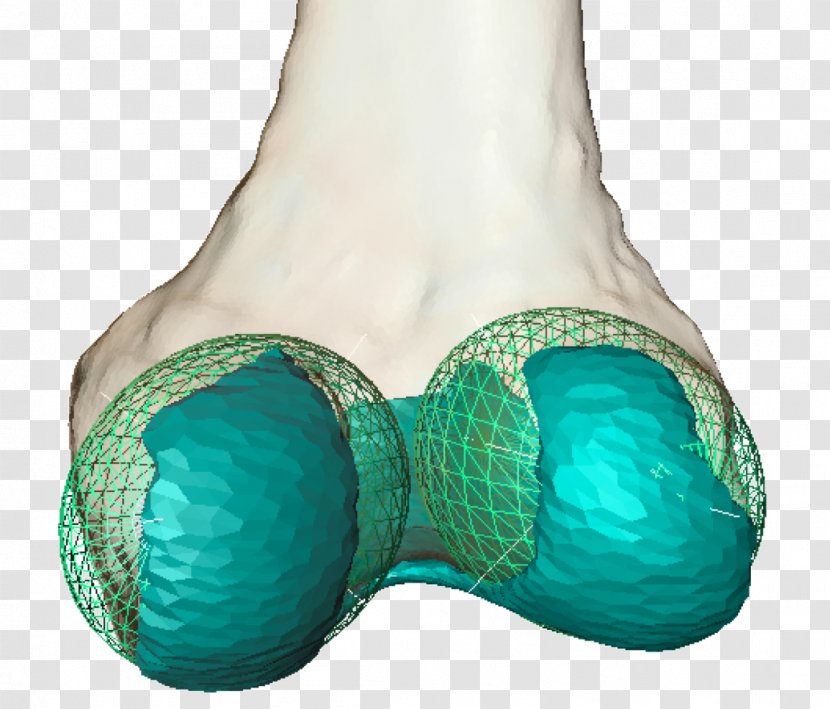 Geometry Knee Joint Condyle Femur - Evaluation - Patella Transparent PNG