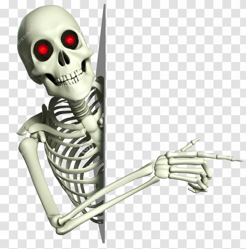 Stock Photography Skeleton Cartoon Royalty-free - Fictional Character Transparent PNG