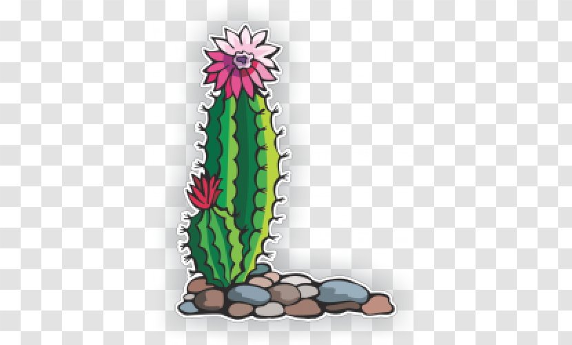 Clip Art Cactus Flowers Image Drawing - Plants Transparent PNG