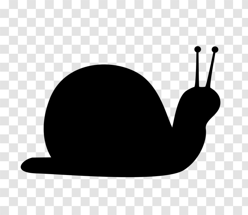 Snail Clip Art - Black Transparent PNG