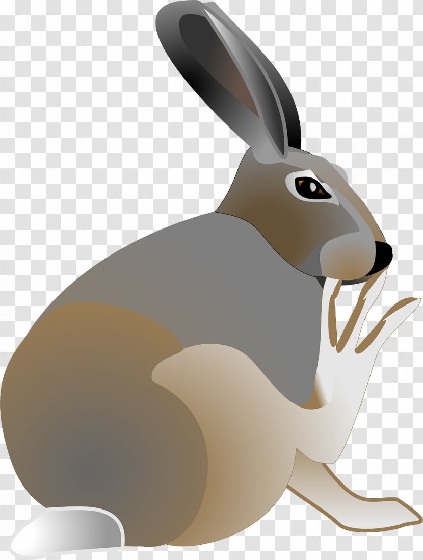 Easter Bunny Arctic Hare Clip Art - Rabits And Hares - Watching Rabbit Transparent PNG