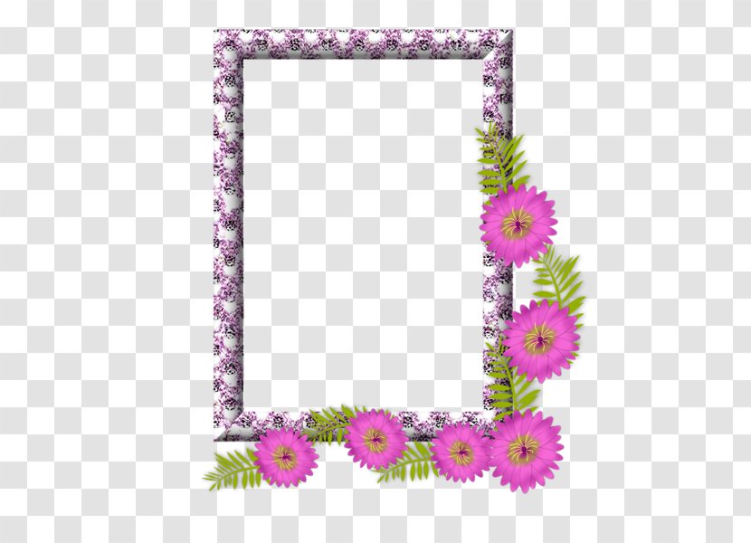 Picture Frames Photography Photomontage - Preview Transparent PNG