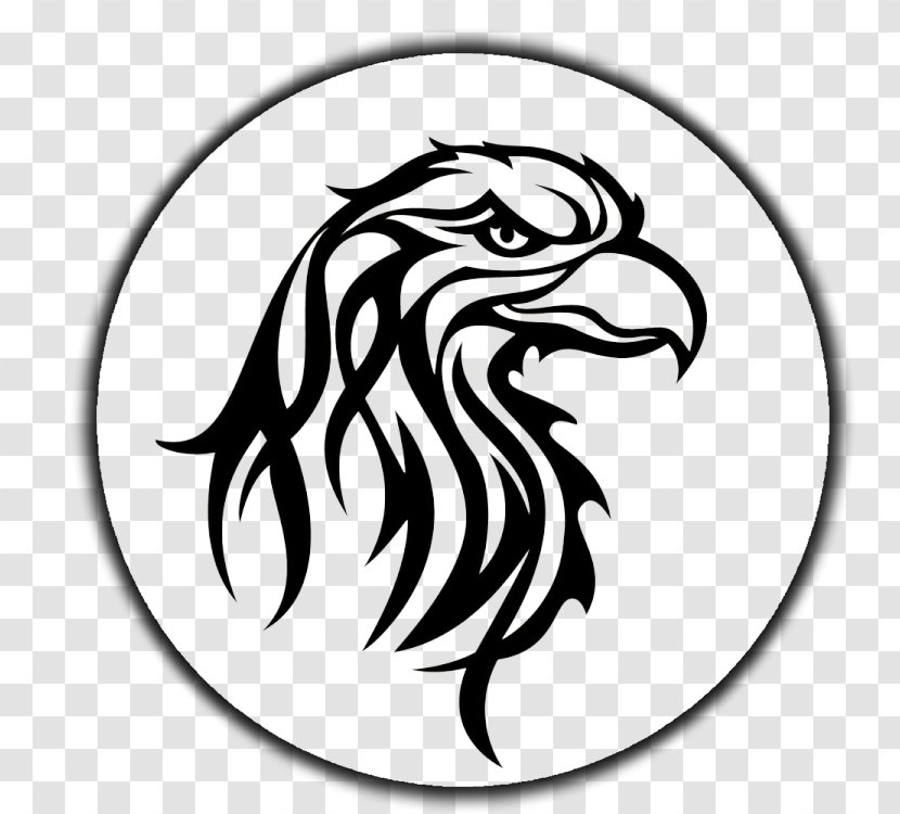 Eagle Bird Clip Art - Of Prey Transparent PNG