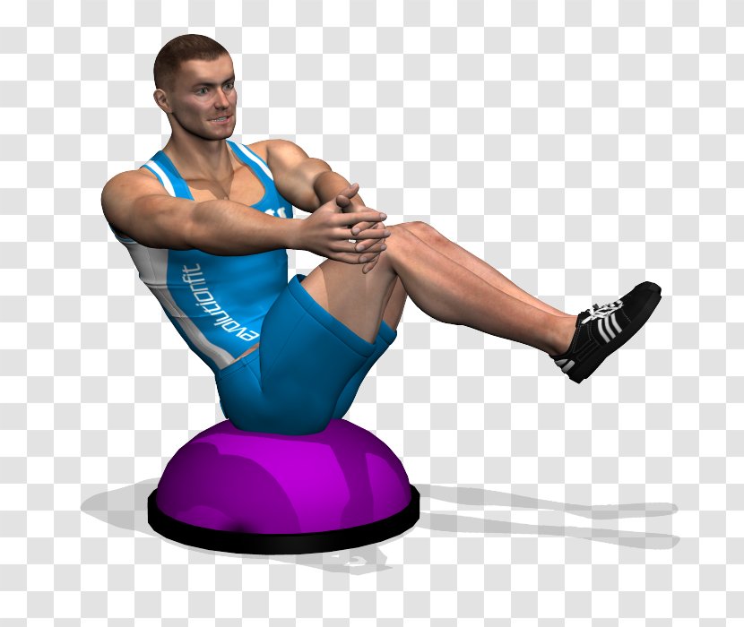 BOSU Russian Twist Exercise Crunch Rectus Abdominis Muscle - Frame - Dumbbell Transparent PNG