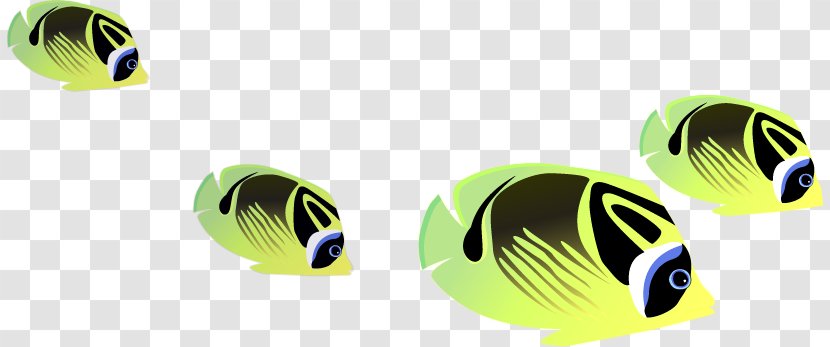 Cartoon Download - Logo - Cute Fish Transparent PNG