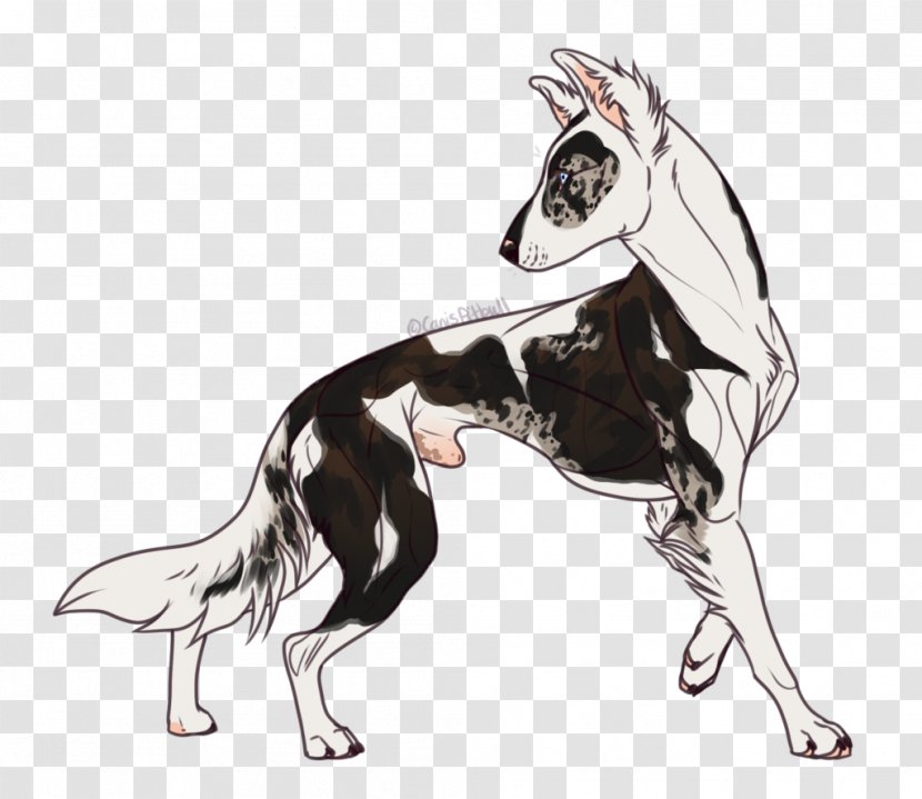 Dog Breed Lurcher Border Collie Drawing - Watercolor Transparent PNG